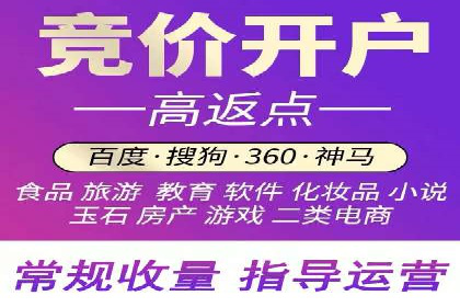 百度推广代运营案例：行业领先企业的成功之道